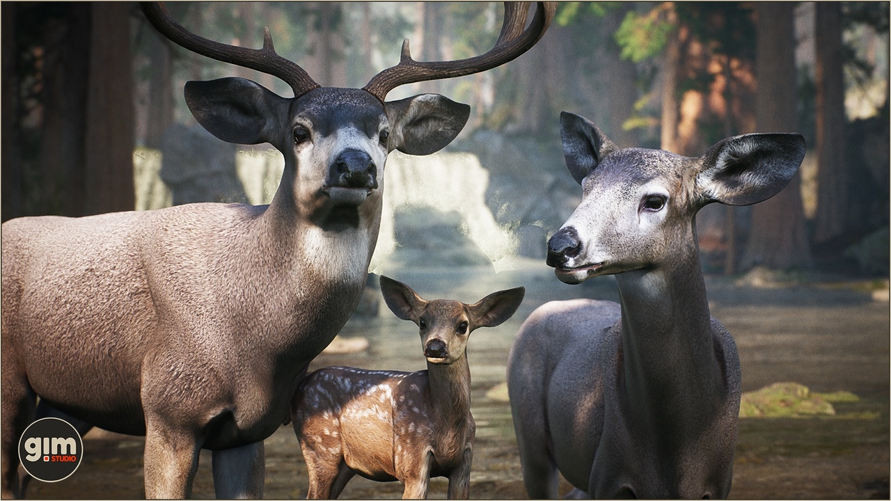 Media 1 for listing Animalia - MuleDeer (pack)