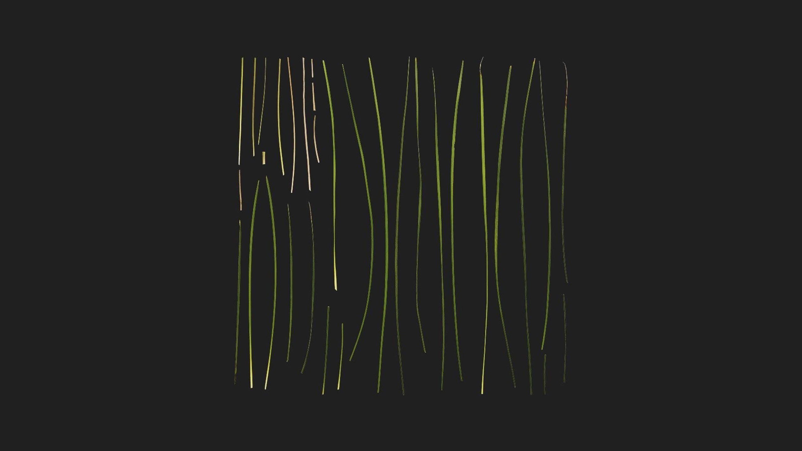 Media 1 for listing Basket Grass