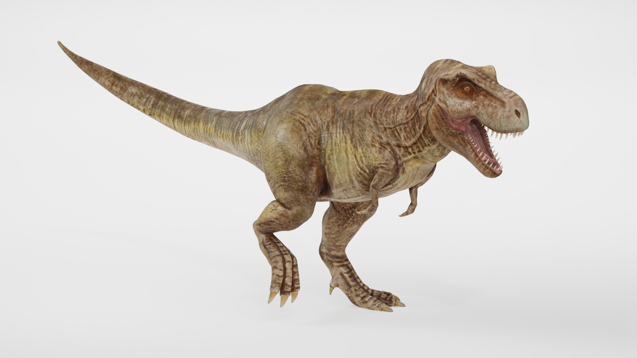 Media 1 for listing Realistic Tyrannosaurus Rex Dinosaur