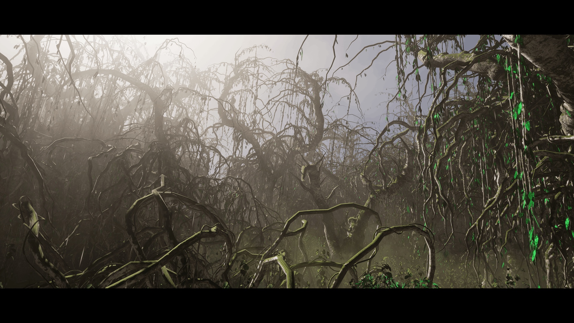 Media 1 for listing Tangled Forest
