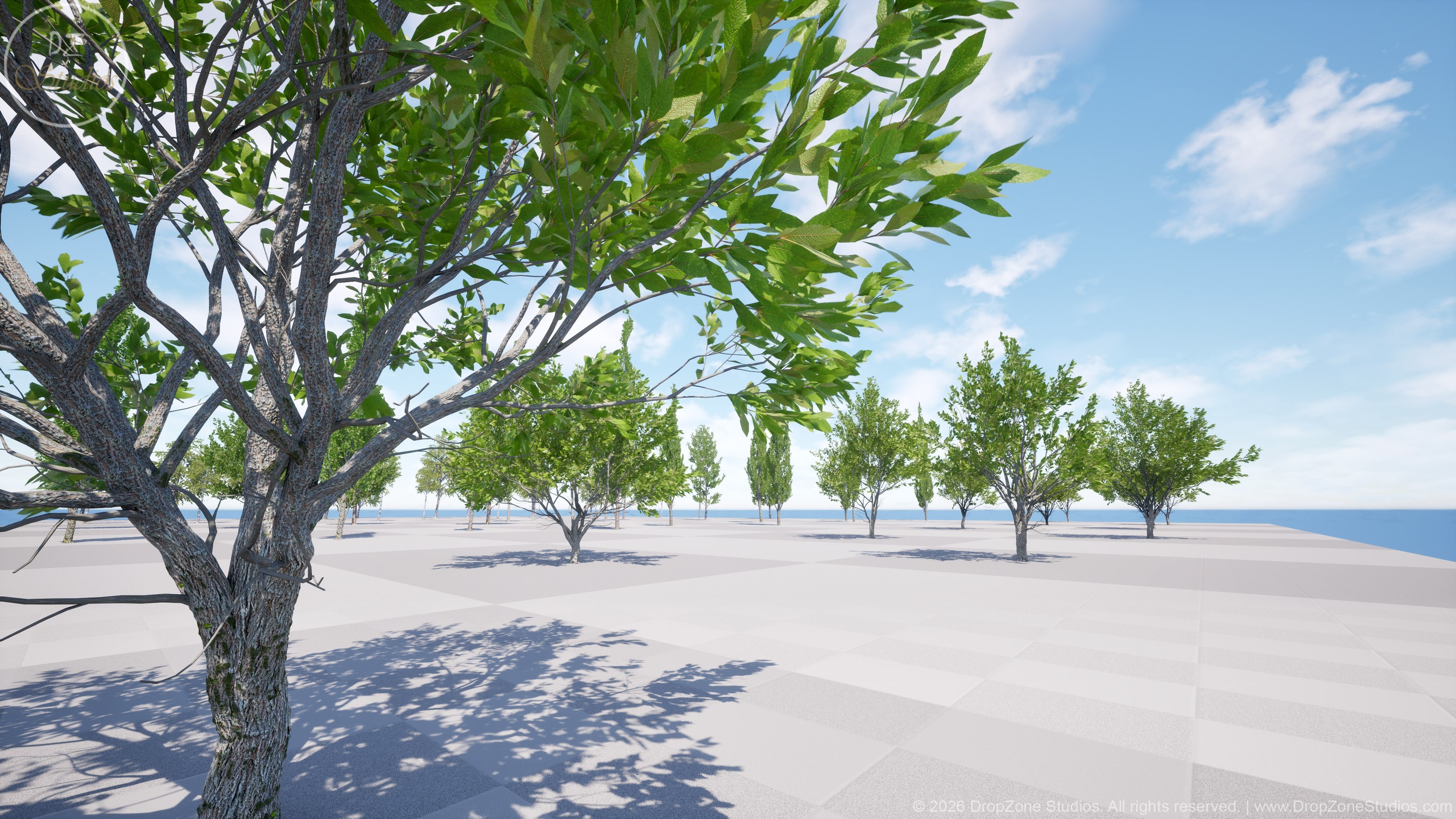 Media 1 for listing DZ Trees - Deciduous Trees 2 (Birches, Aspens and Willows)
