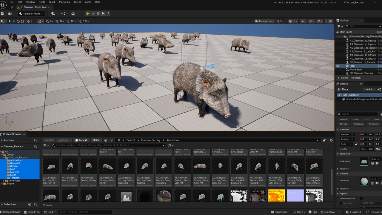 Media 1 for listing Chacoan Peccary Pig
