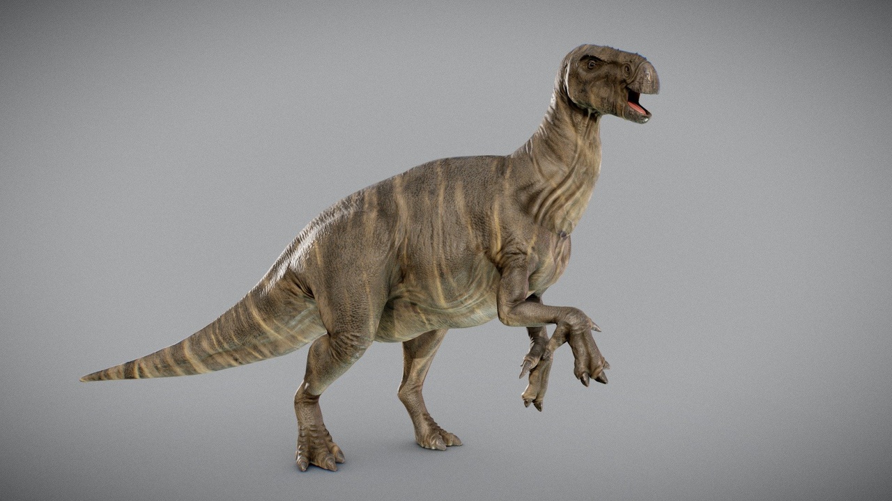 Media 1 for listing Iguanodon