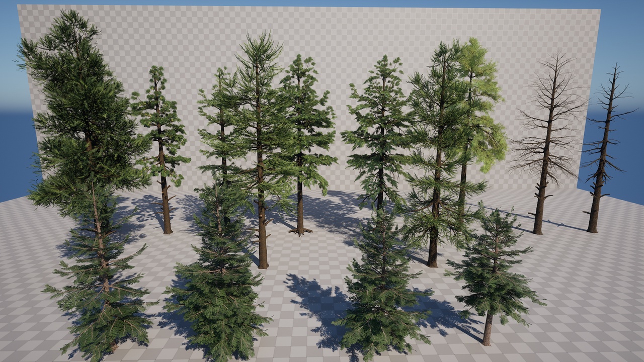 Media 1 for listing PineTrees