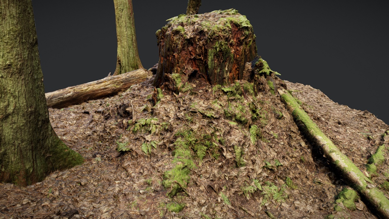 Media 1 for listing Stump 2
