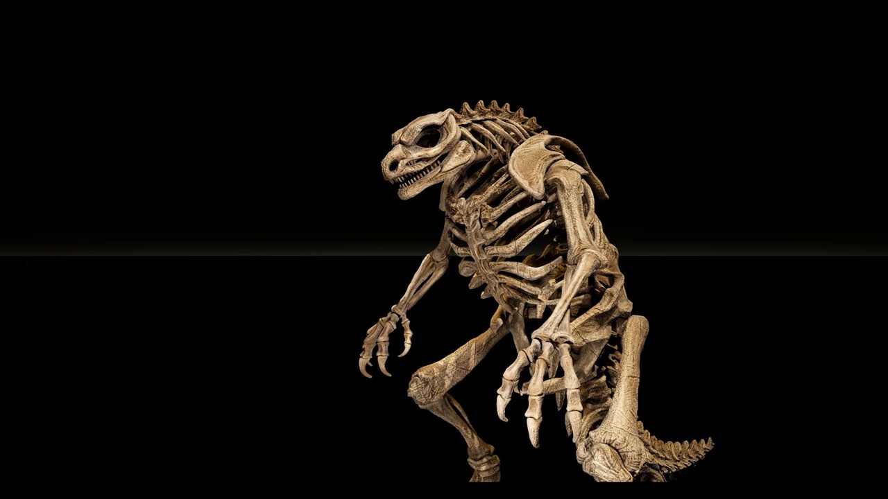 Media 1 for listing Mysterious Monster Skeleton Props