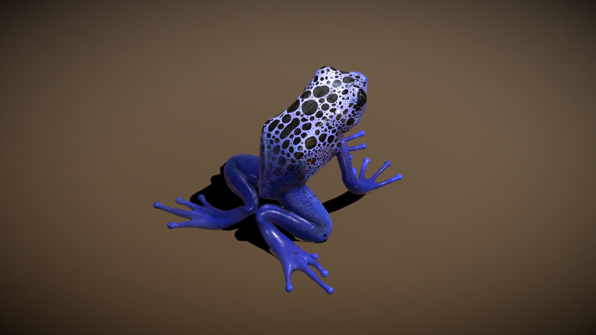 Blue Poison Dart Frog | Fab