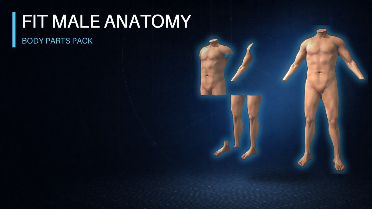 Media 1 for listing Fit Male Anatomy - Body parts base mesh pack