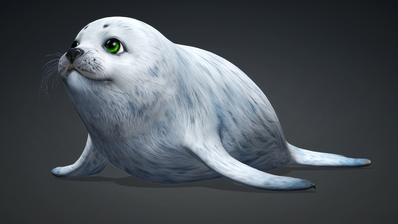 Harp Seal_A5 | Fab