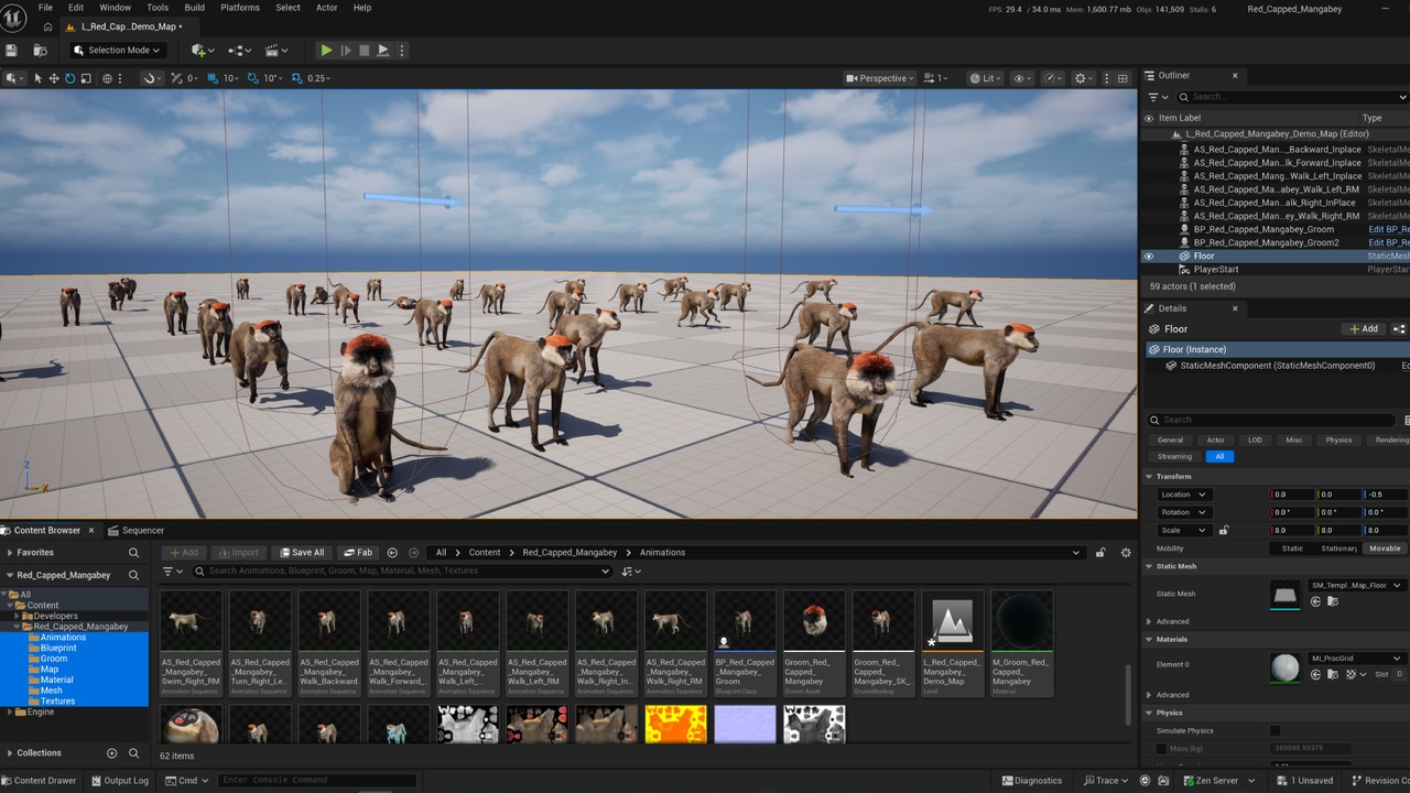 Media 1 for listing Red Capped Mangabey (Game Ready)