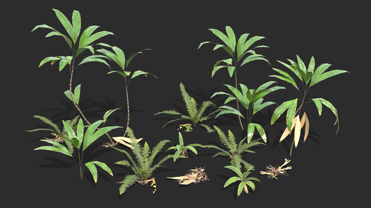 Media 1 for listing Tropical Climbing Plants Set 01