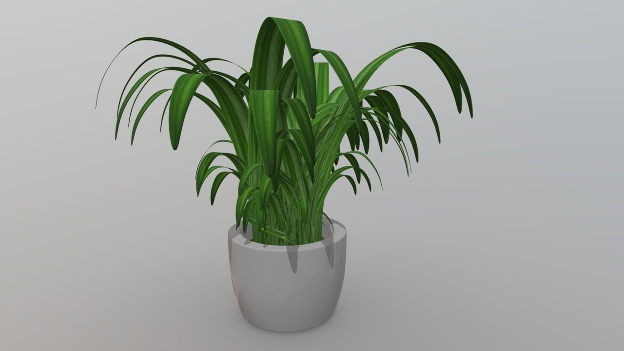 Media 1 for listing Plant With Pot