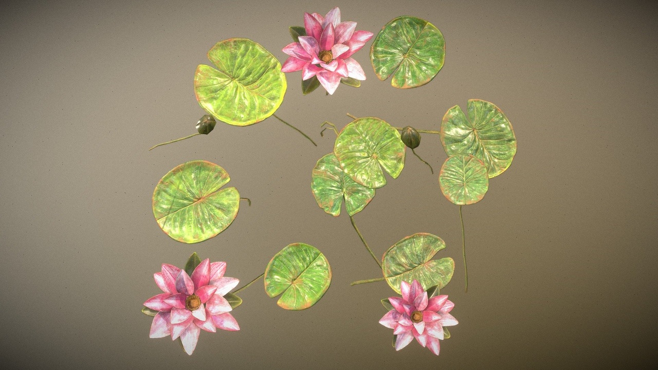 Media 1 for listing Water Lilies