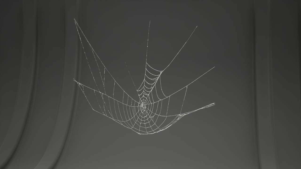 MAE Cobweb Collection 01