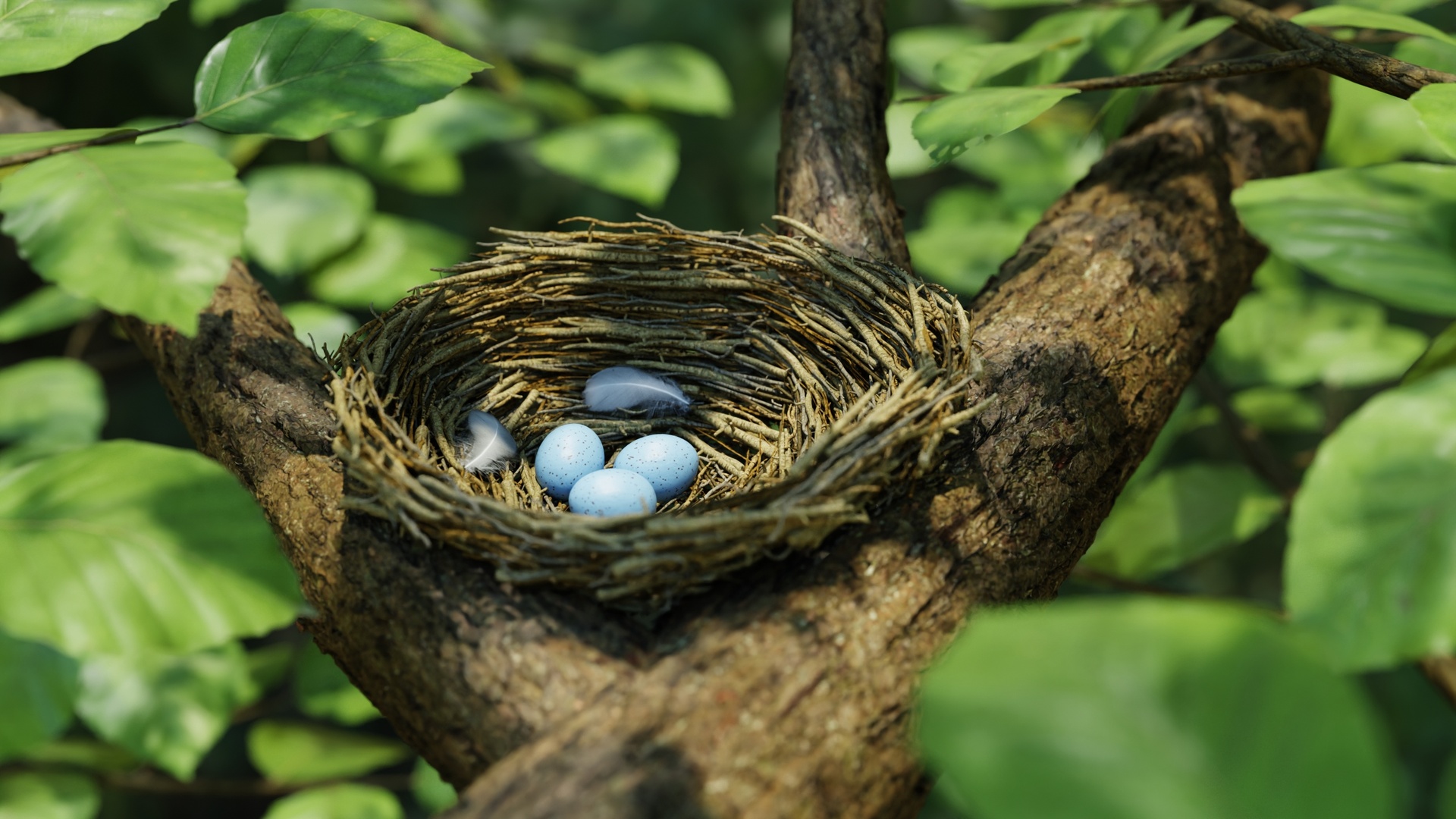 Media 1 for listing Bird Nest Nature Scene 🪺