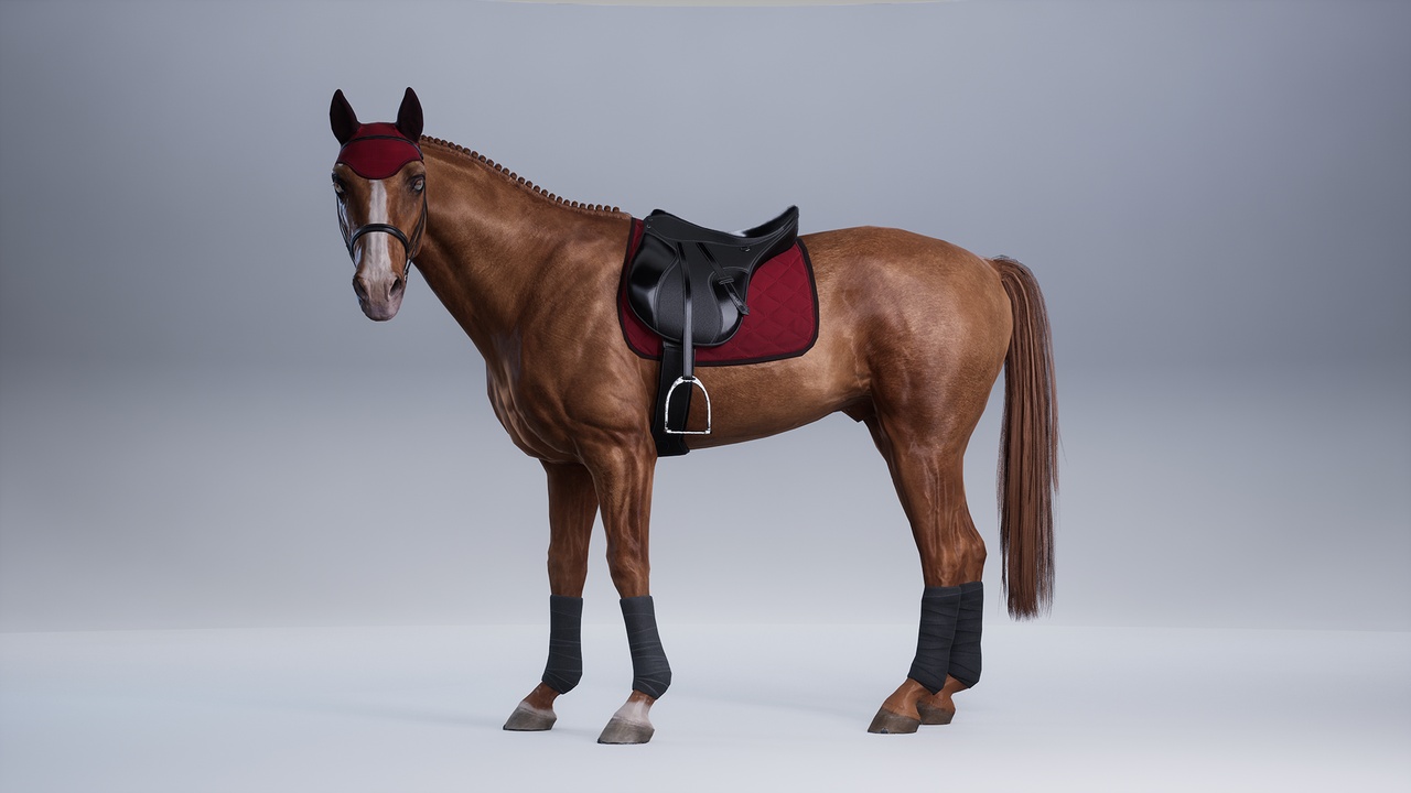 出品Horse Champion Jumper with rider animationsのメディア1