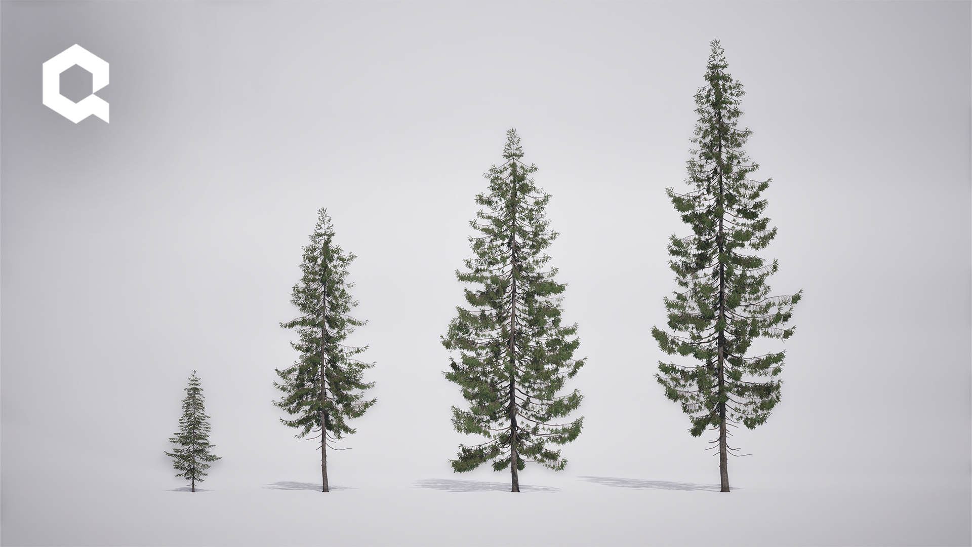Megaplants: Norway Spruce | Fab
