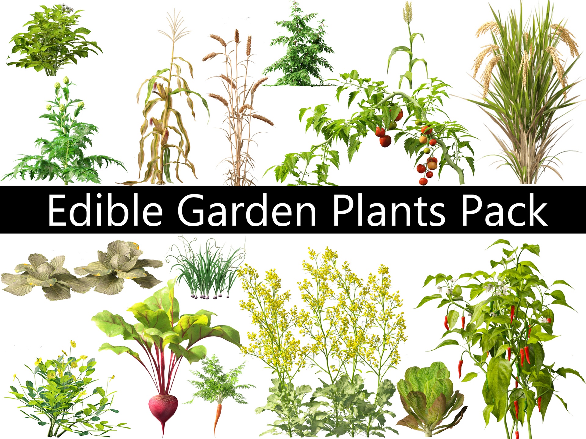 Medium 1 für Eintrag Edible Garden Plants Pack 28