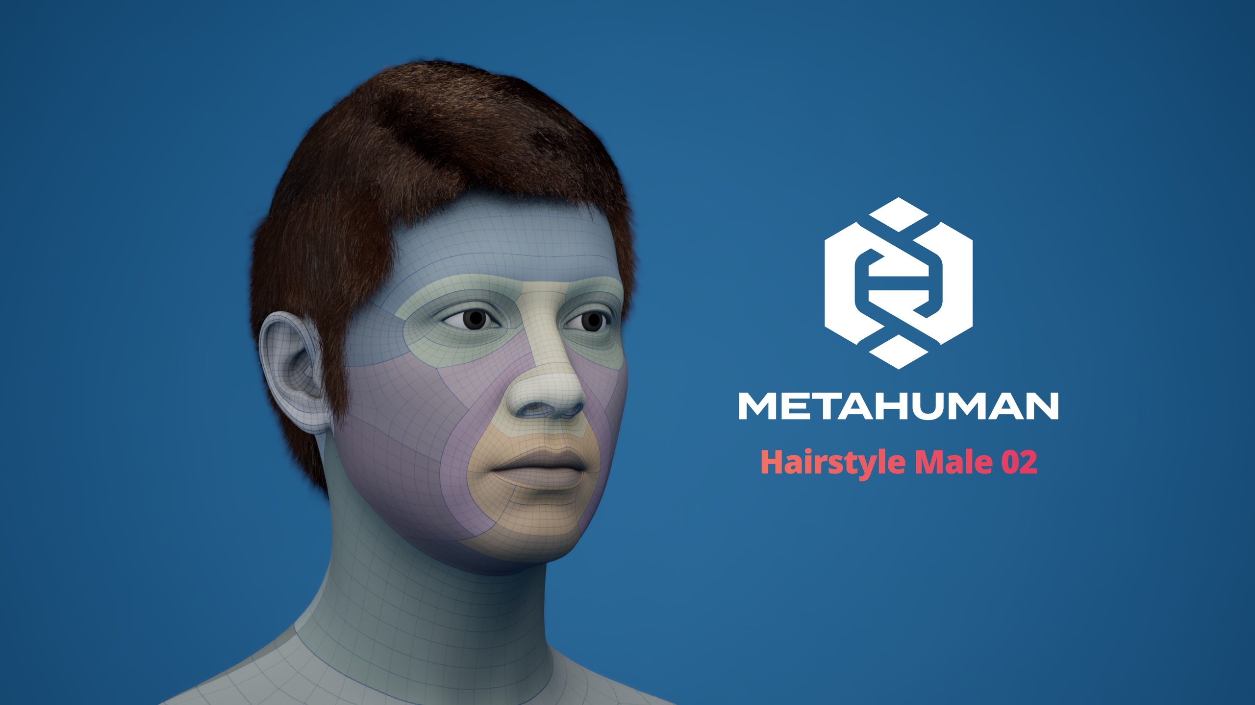Media 1 for listing MetaHuman Hairstyle Male 02 Groom