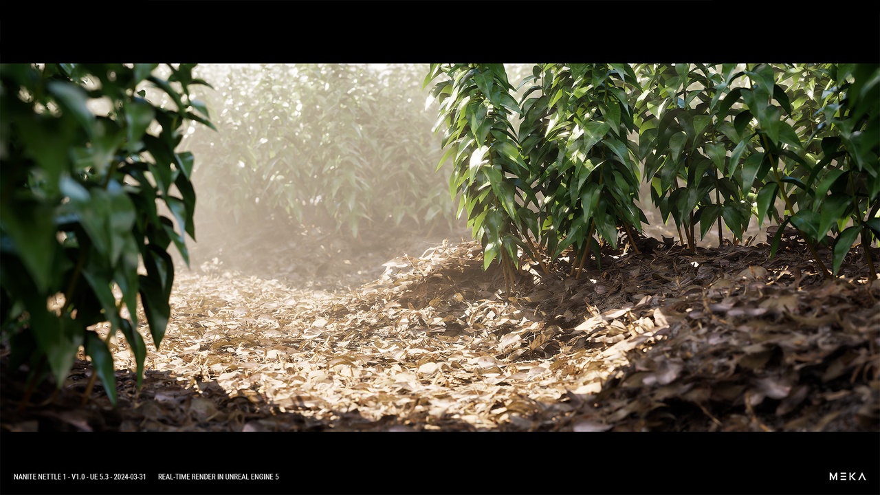 Media 1 for listing NANITE NETTLE