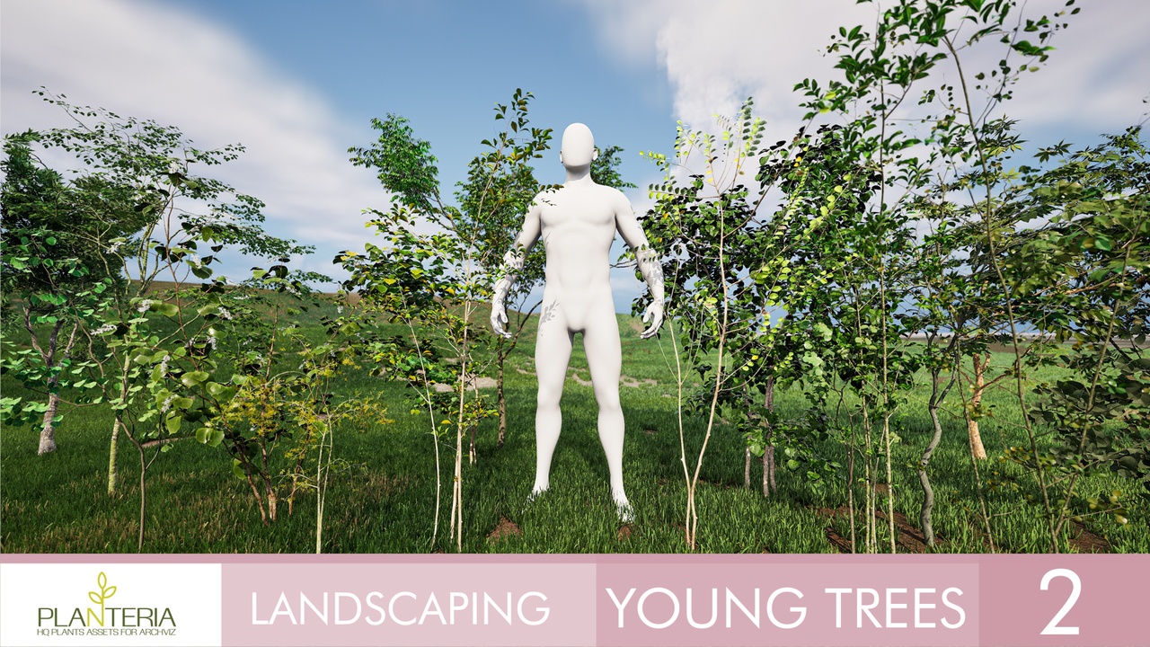 Media 1 for listing Landscaping Young Trees 2