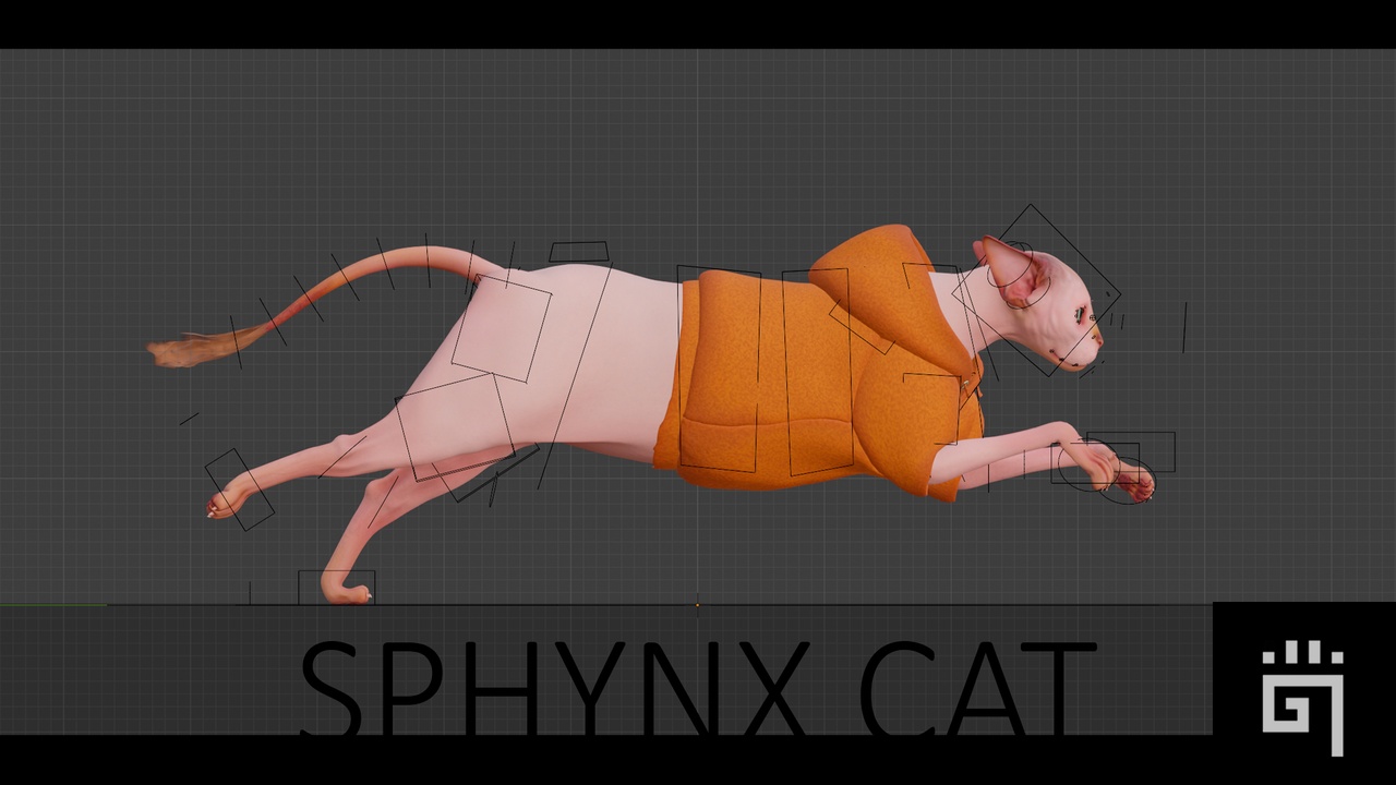Sphynx Cat 제품 등록 을 위한 미디어 1개