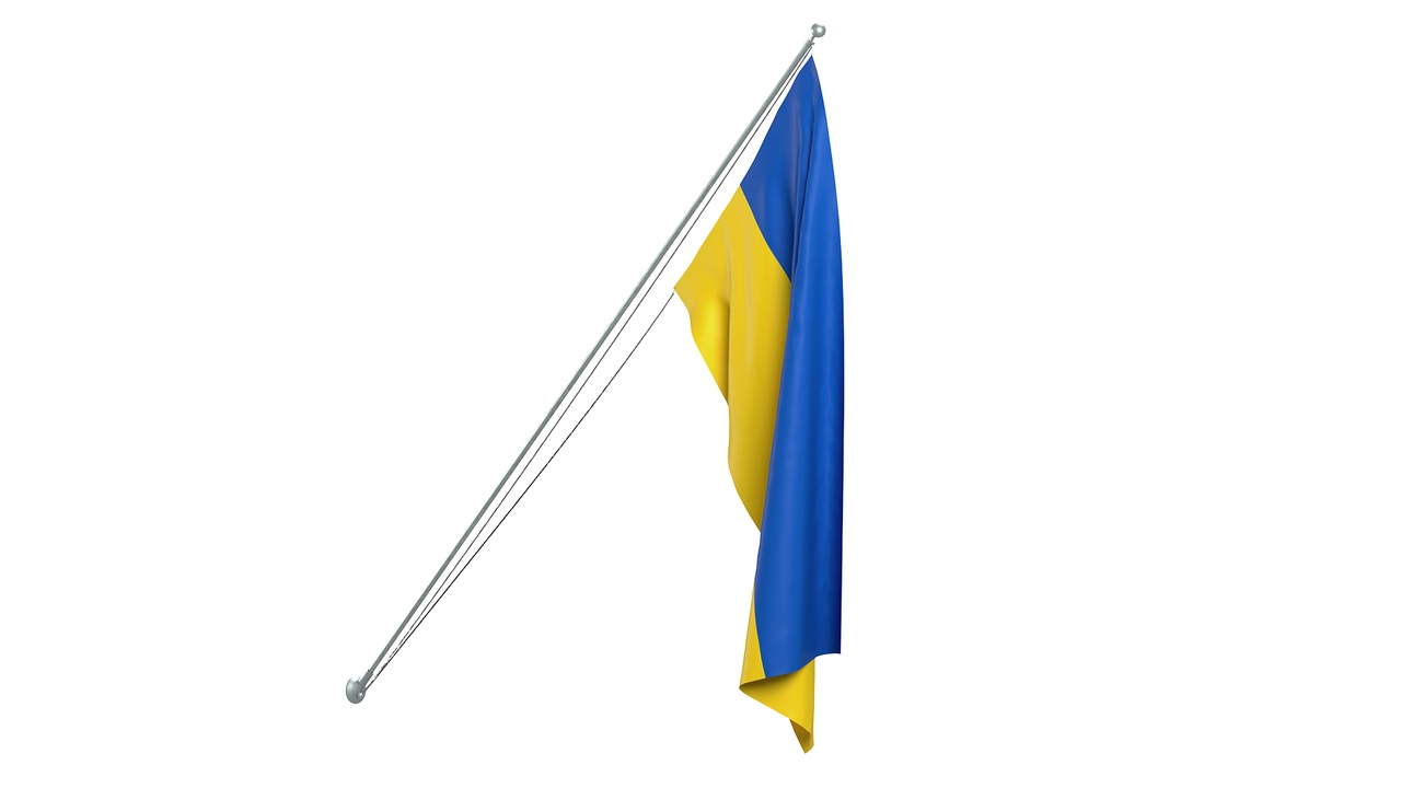 Media 1 for listing Ukraine Exterior Flag