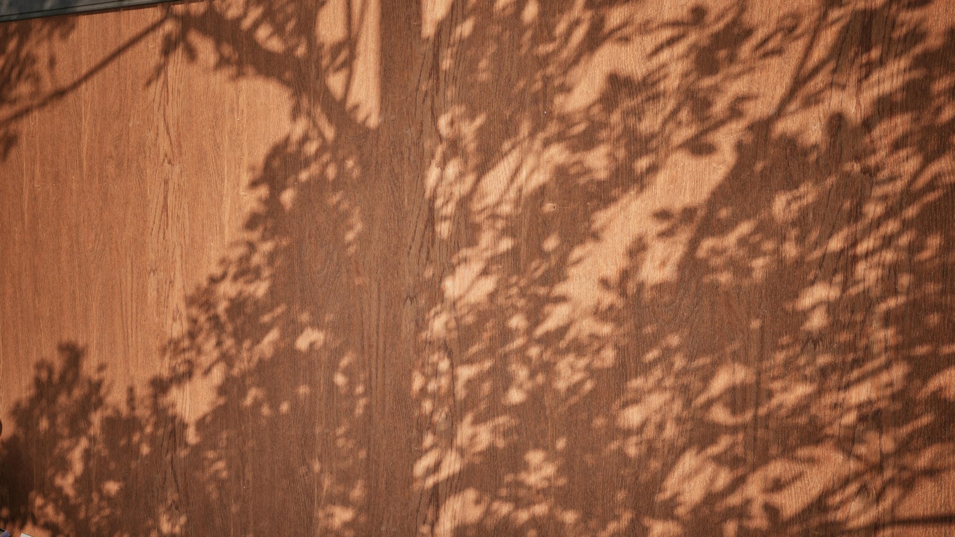Media 1 for listing Wood 01 - Scanned Photogrammetry Materials
