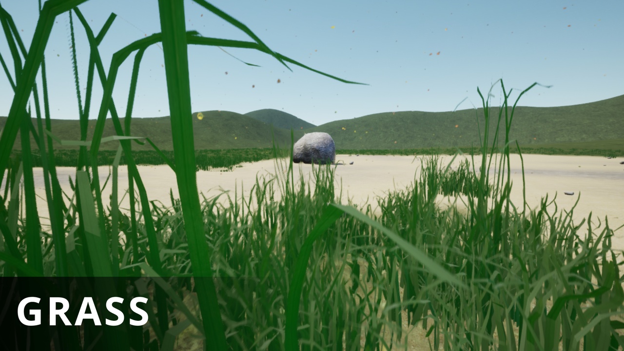 Média 1 pour l'article Grass