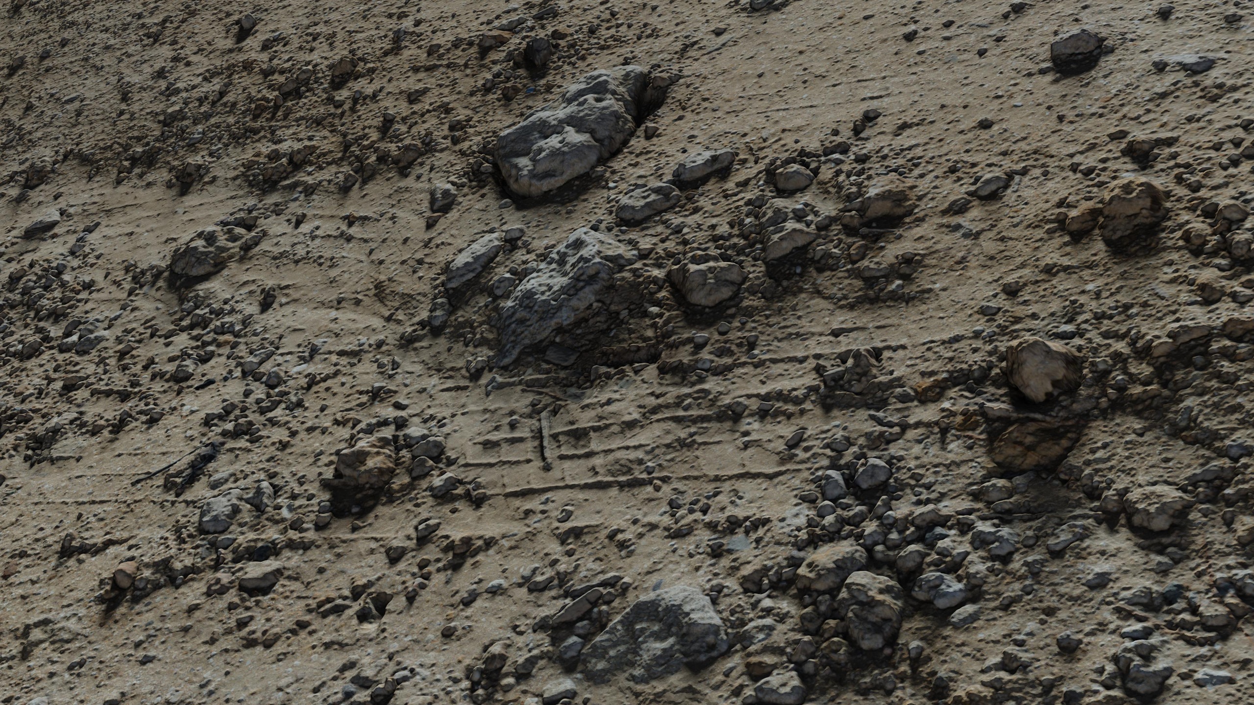 商品 soil01 的媒体 1