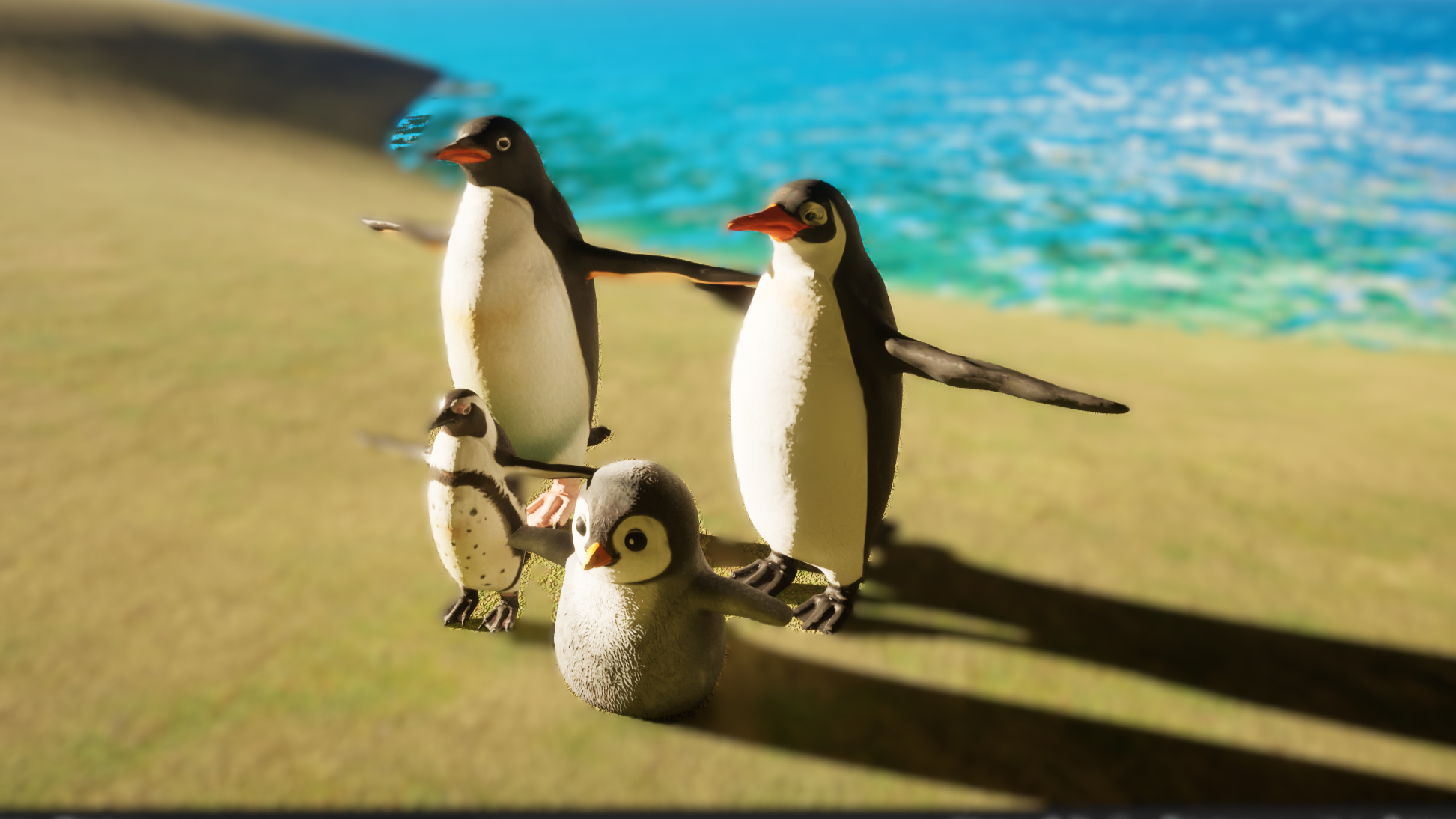 Penguin Pack | Fab