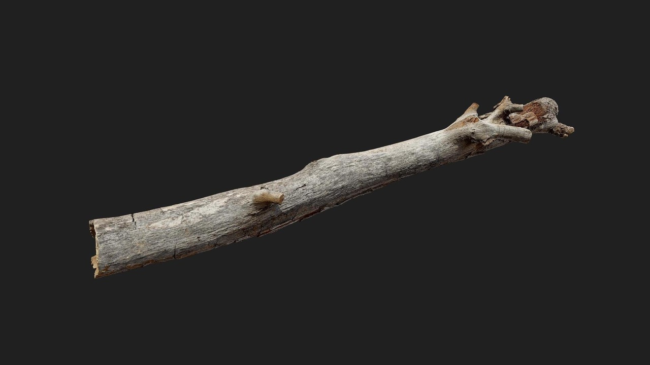 Media 1 for listing Shrubland Australian Tree Scatter Wood Medium 09