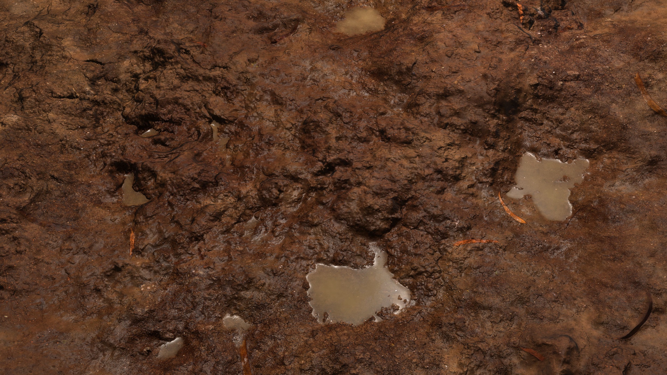 Wet Mud Background