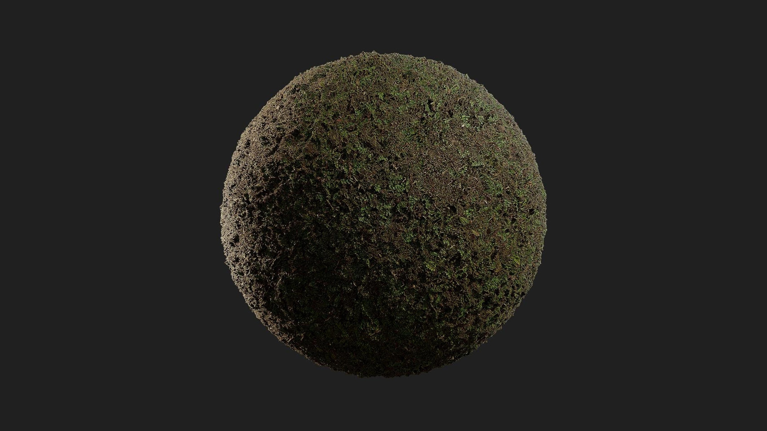 Media 1 for listing Forest Floor