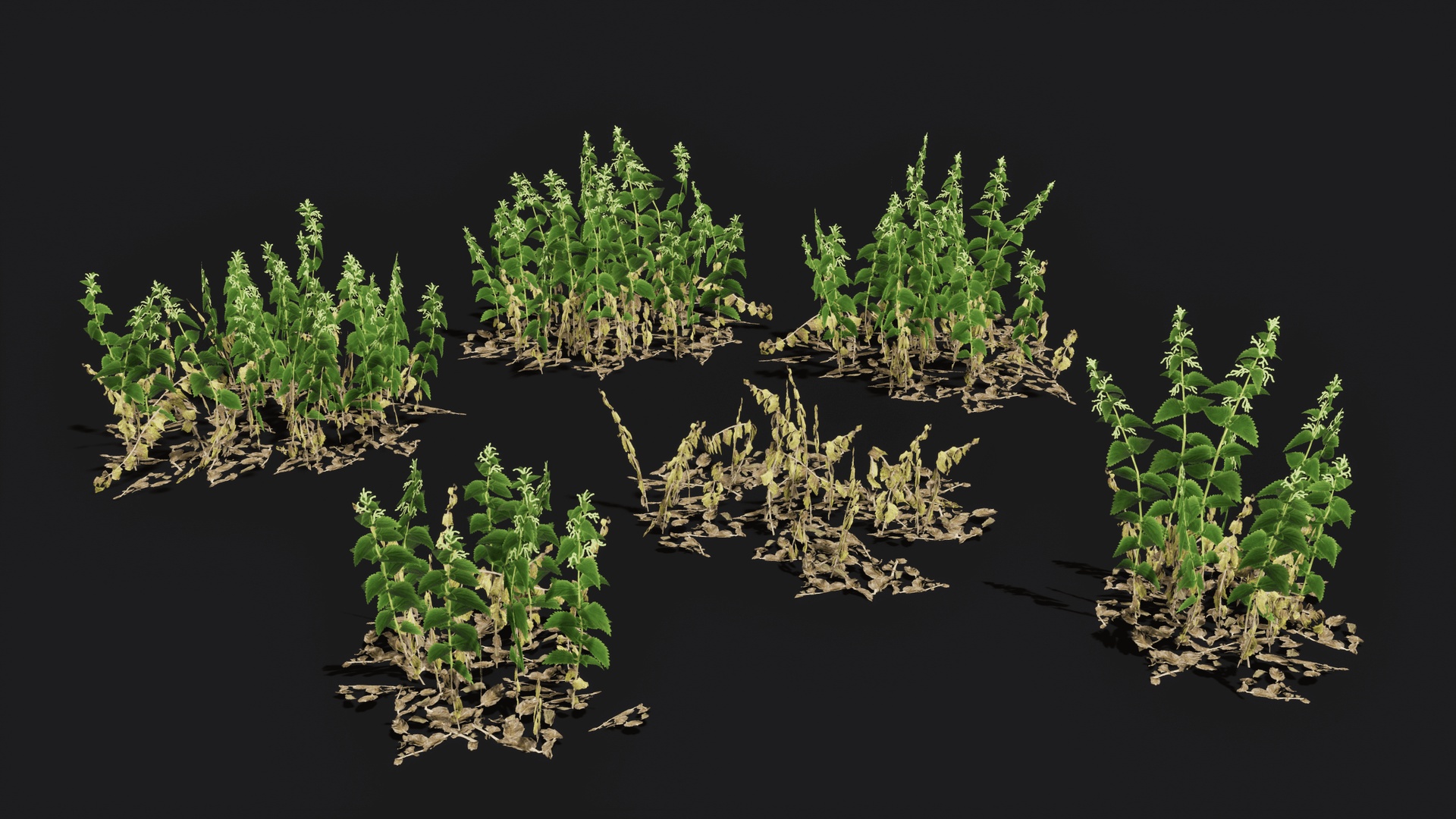 Medium 1 für Eintrag Nettle low poly game ready pack