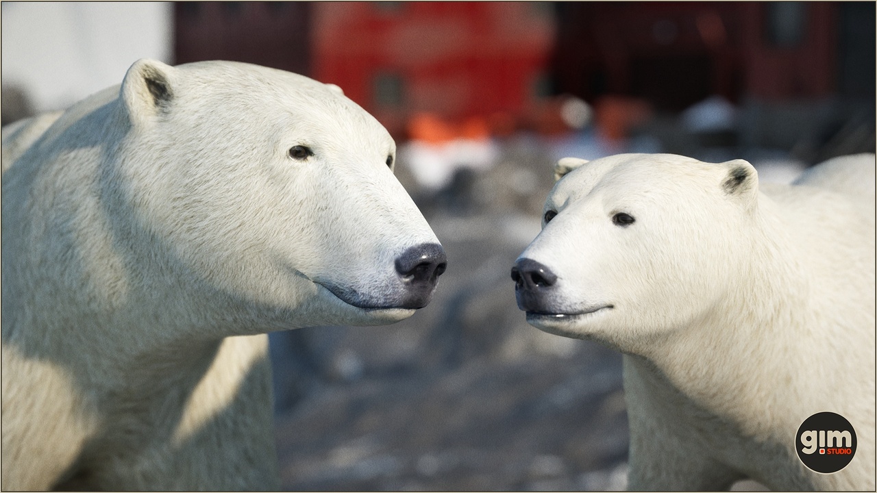 Media 1 for listing Animalia - Polar Bear (pack)