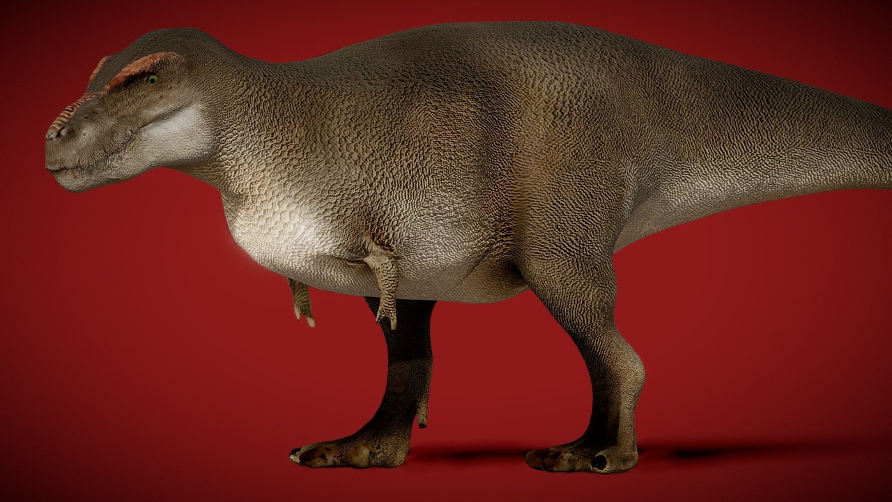 Media 1 for listing Animated Accurate Tyrannosaurus Rex