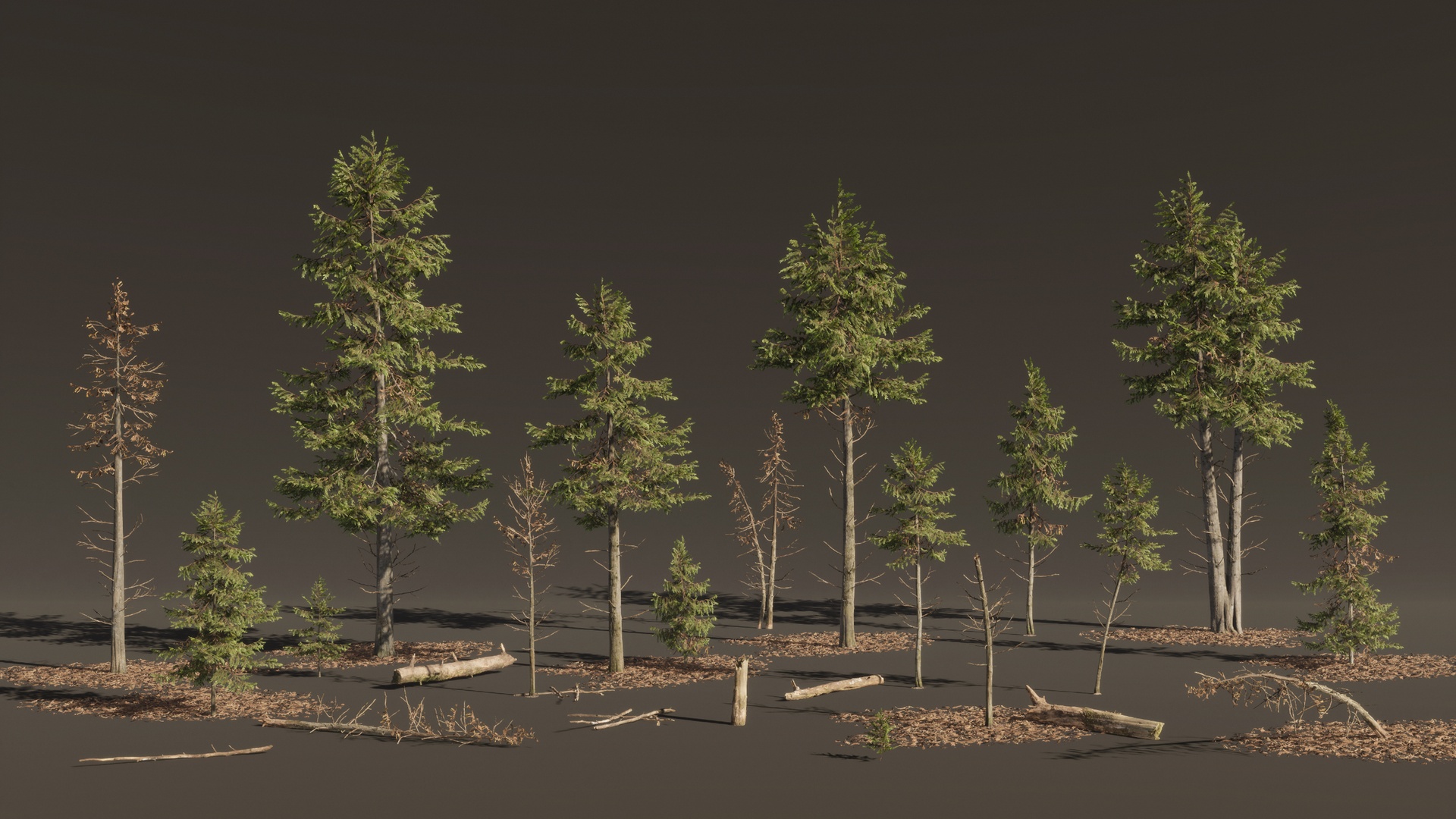 Media 1 for listing Cypress Tree