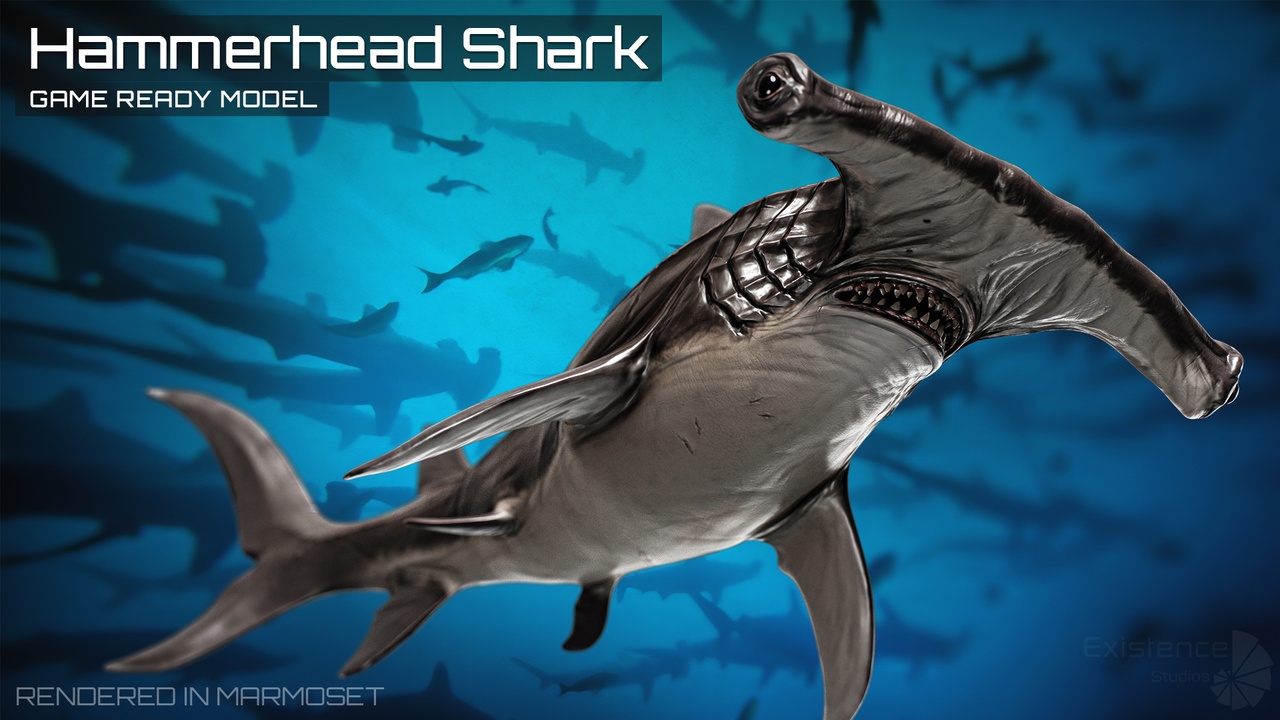 Media 1 for listing Ocean Monster Fish Pack 3 - Low poly Fish Predator - Underwater Creatures - #38