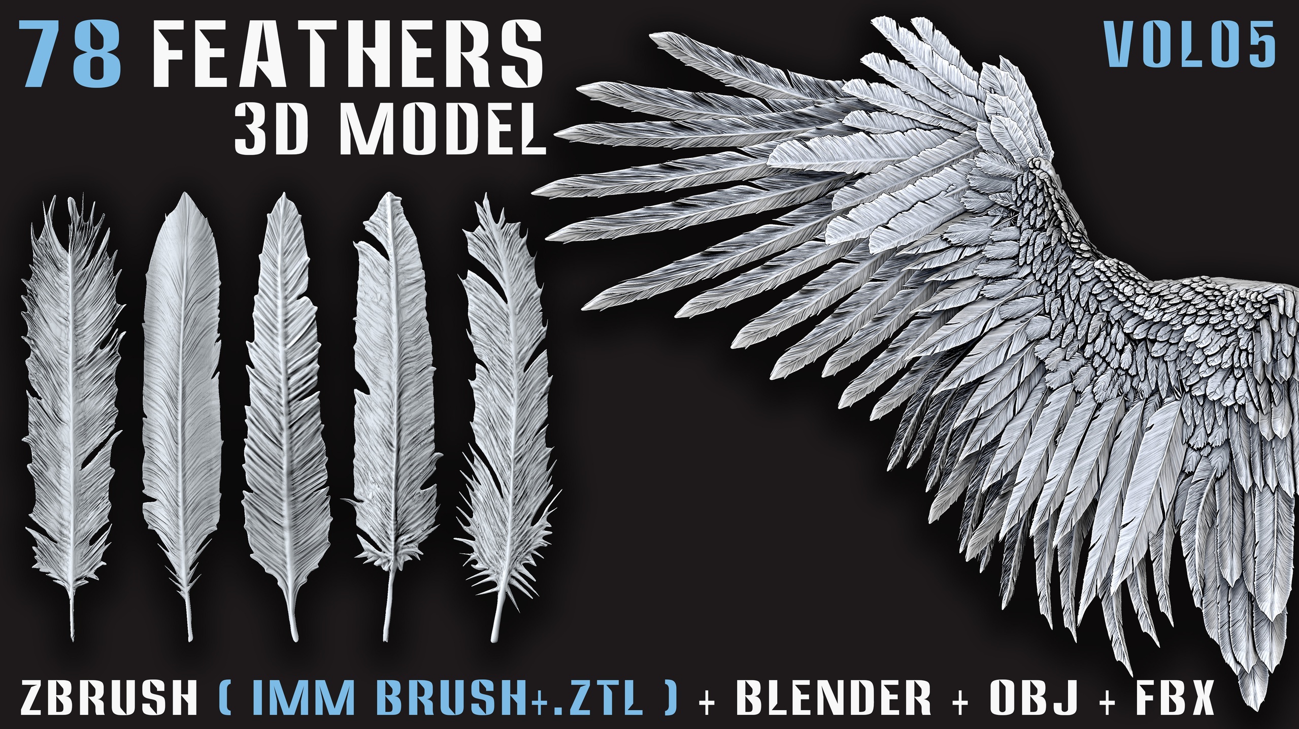 Media 1 for listing 78 Feathers 3D Model (High, Mid, and Low Poly) – Vol05