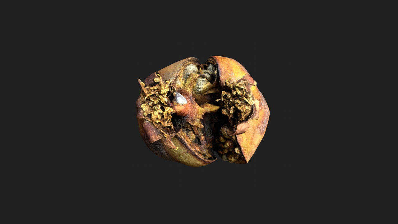 Media 1 for listing Partially Burst Pomegranate (Cracked Skin)