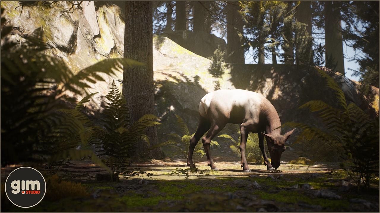 Media 1 for listing Animalia - Elk (female)
