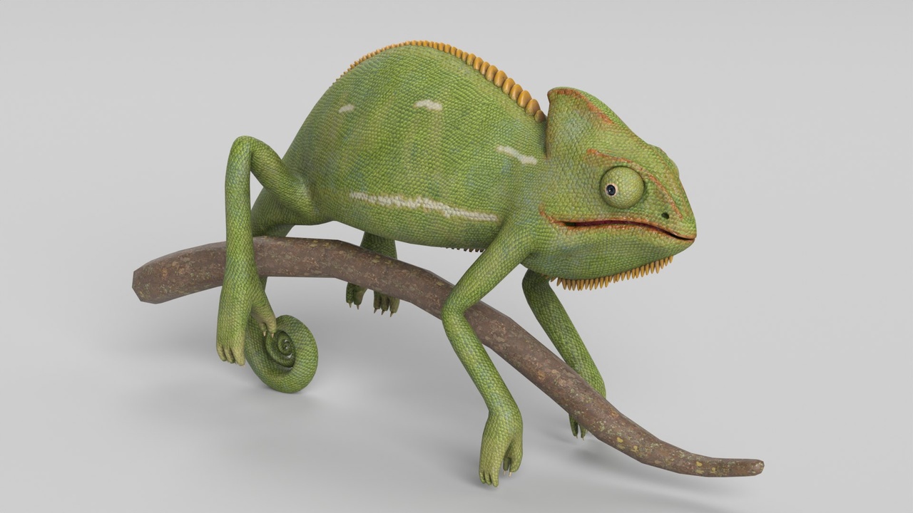 Media 1 for listing Chameleon Lizard