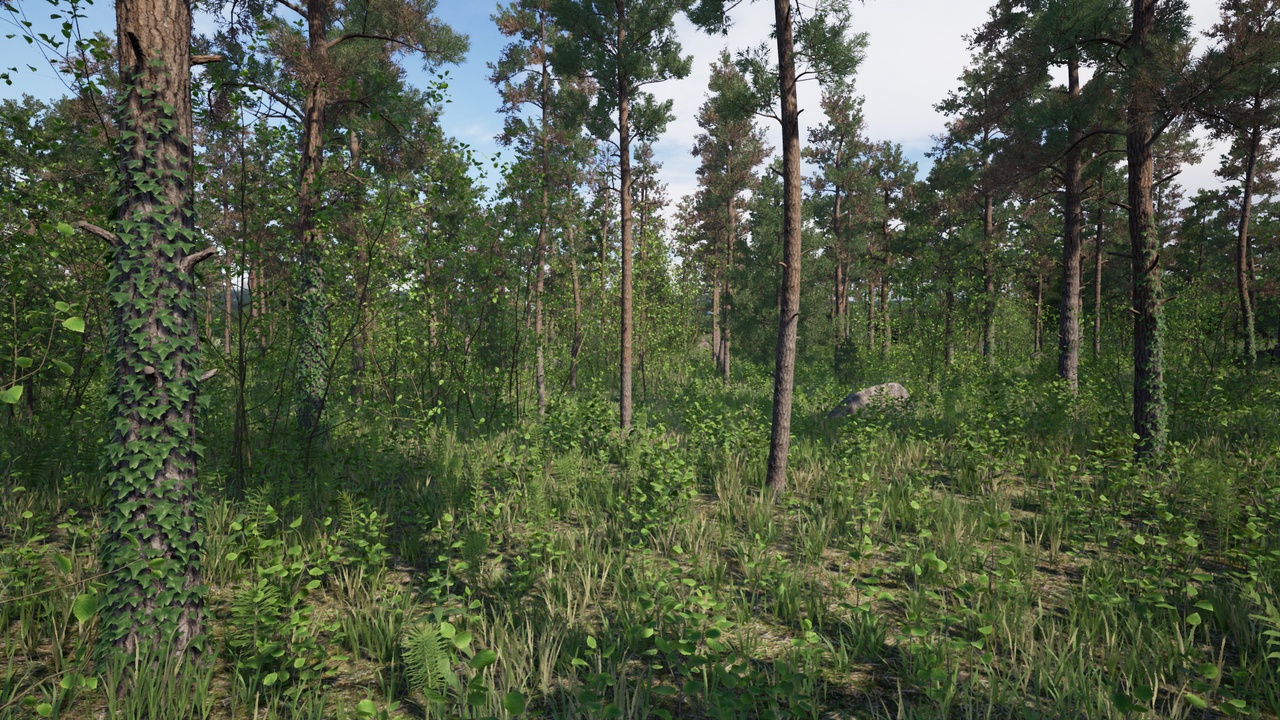Media 1 for listing Pines Pack