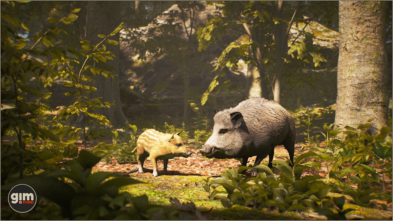 Media 1 for listing Animalia - Wild Boar (pack)