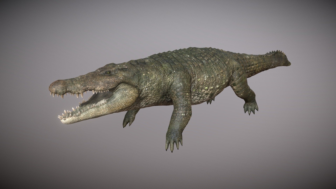 Media 1 for listing Realistic Crocodile 3D Model - Rigged