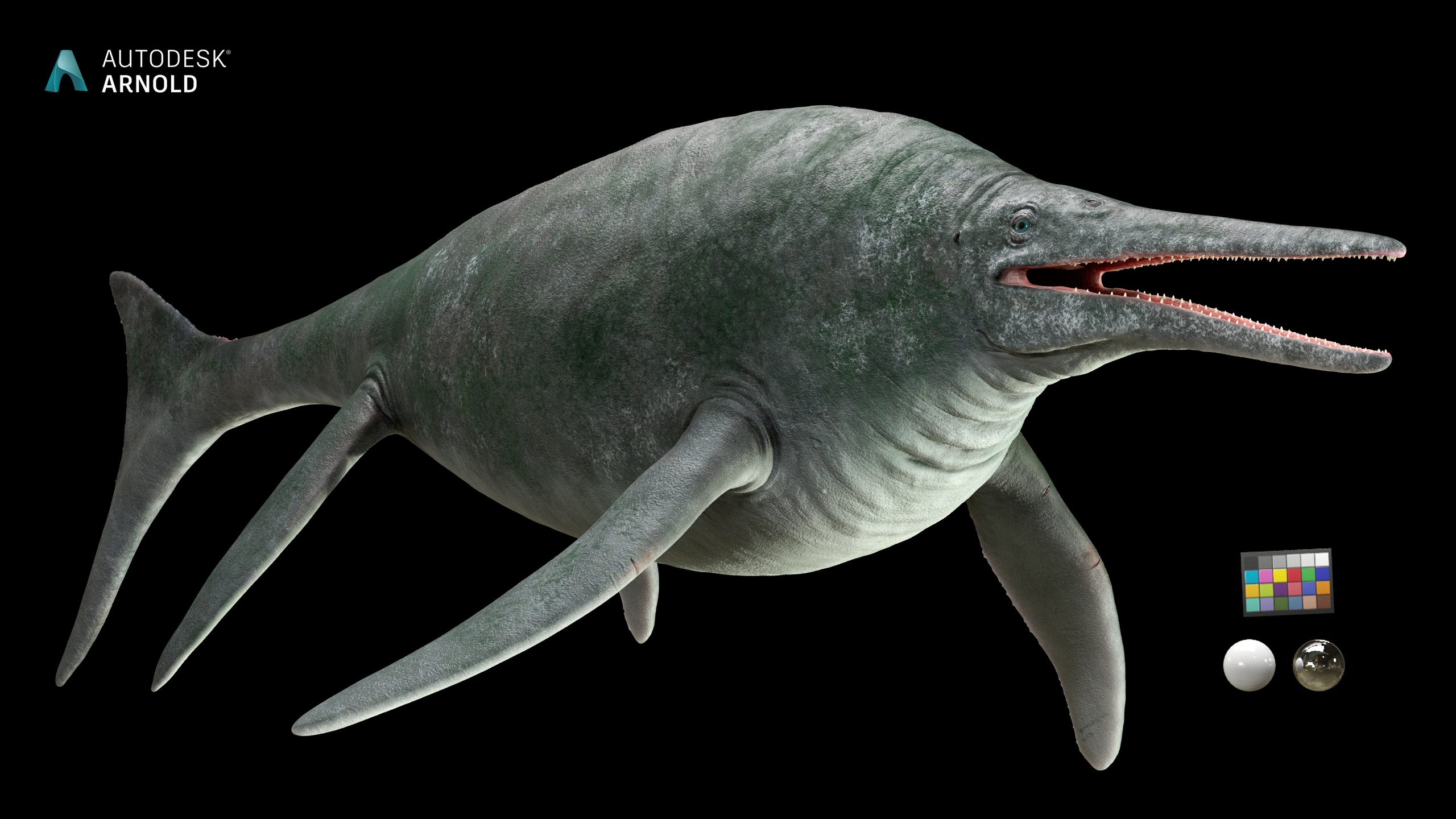 Media 1 for listing Shonisaurus - Giant Ichthyosaur