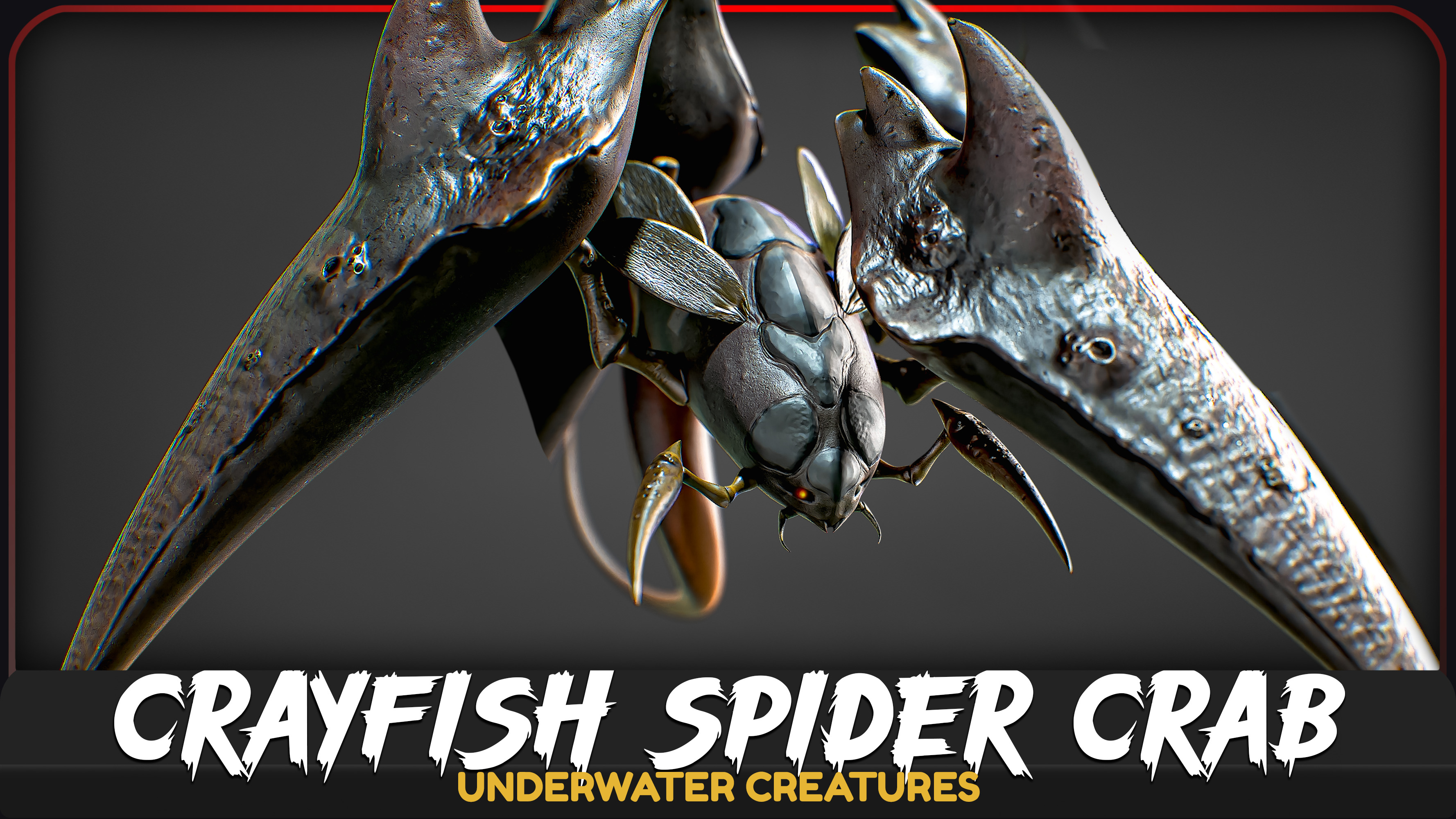 Crayfish Spider Crab - Underwater Ocean Predator - Crustacea Cancer ...