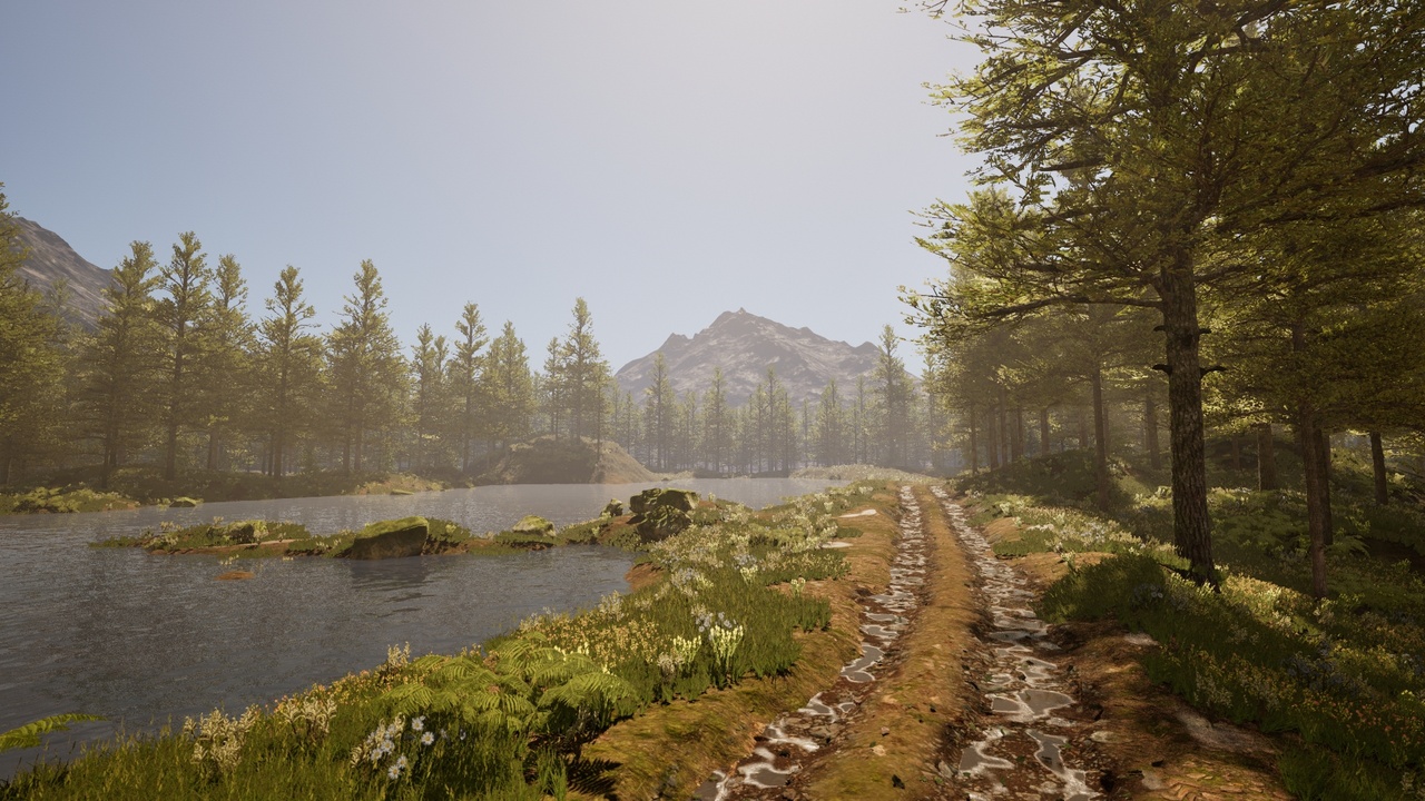 Media 1 for listing Forest Lake