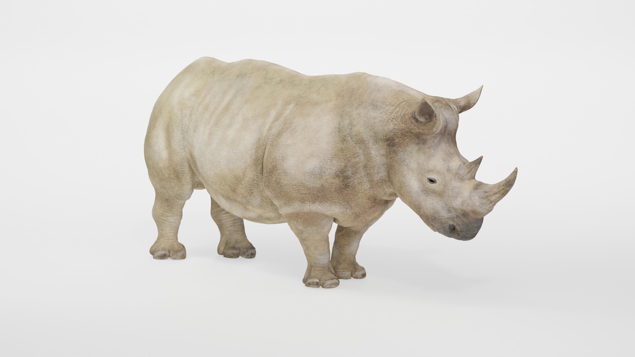 Media 1 for listing Fully Rigged and Animated Realistic White Rhinoceros